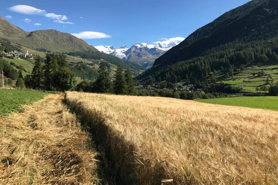 Ritorno al futuro in Val d’Ayas!