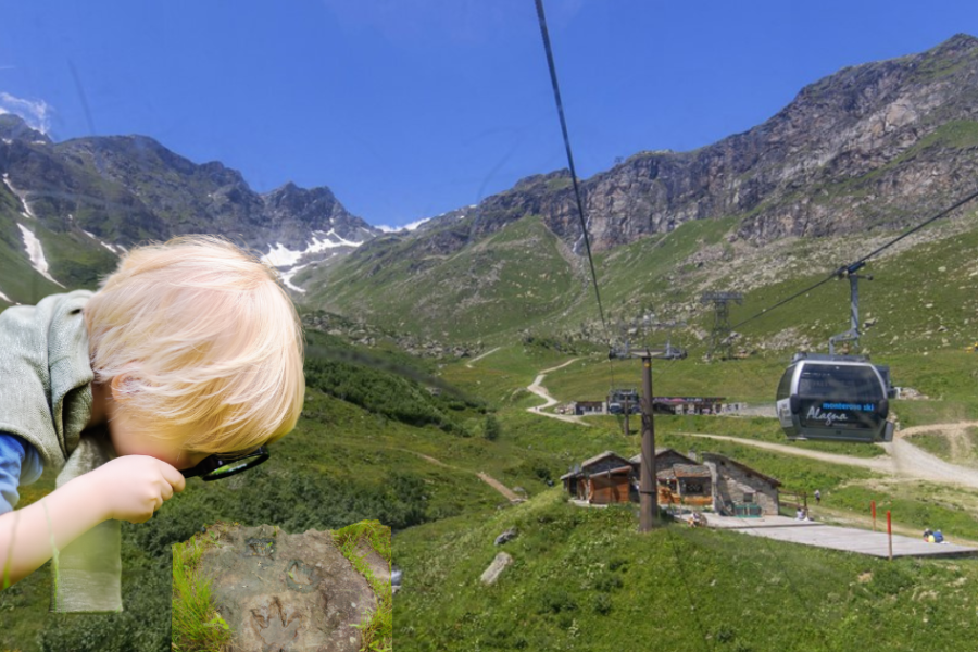 il bosco magico di alagna