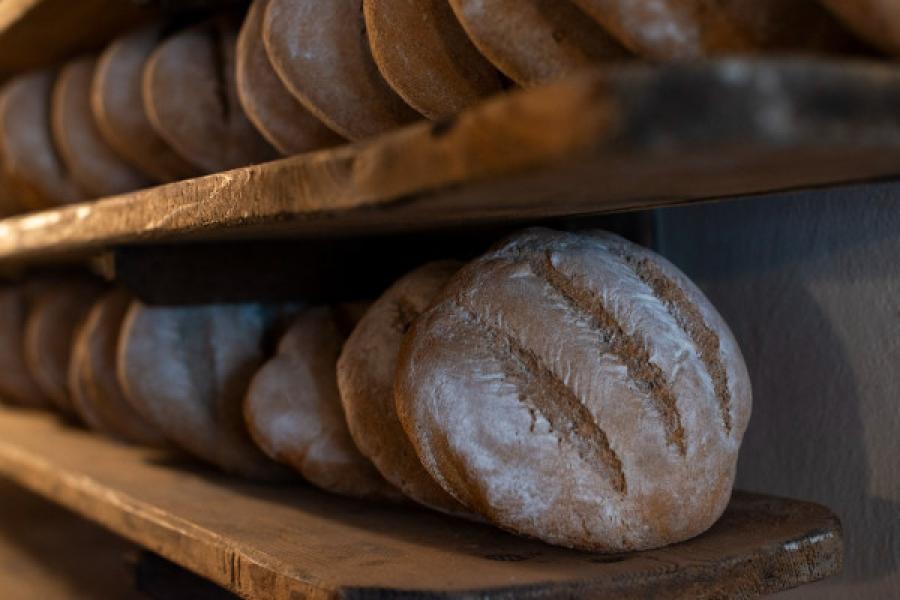 Pan ner Discovering black bread - CANCELED