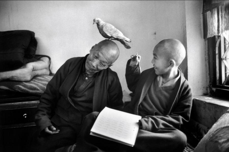 Bodnath, Népal, 1996 © Martine Franck / Magnum Photos Martine Franck. Regarder les autres