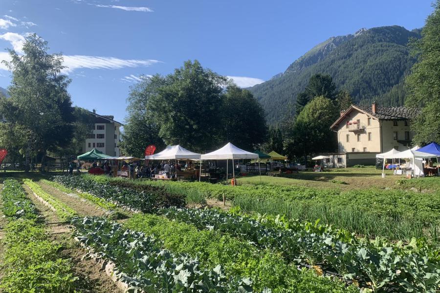 Samstag Märt - Mercato dei piccoli produttori della Valle del Lys