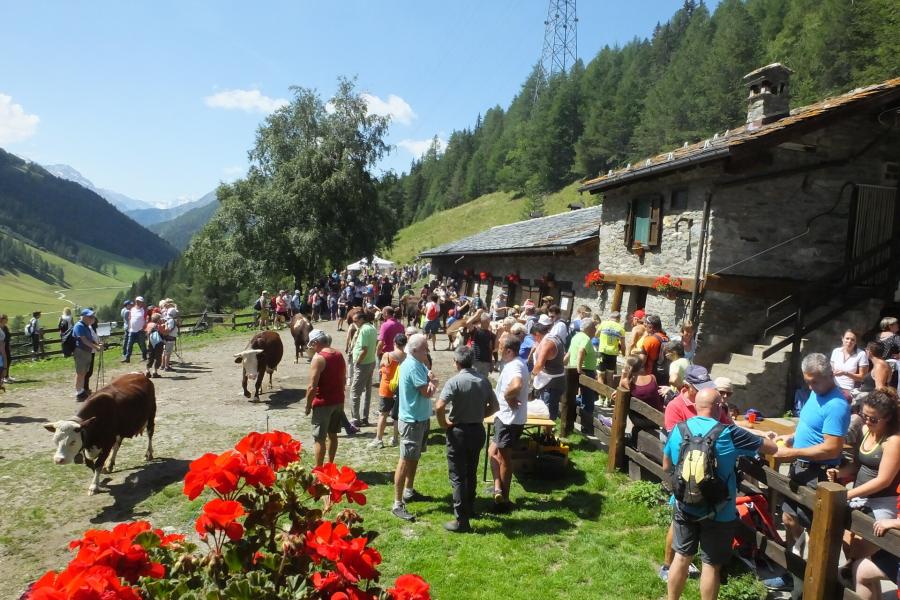 alpage Alpages Ouverts - Una giornata in alpeggio