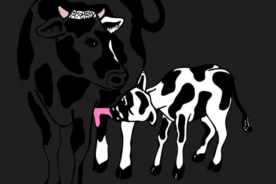 Monella la mucca stregata Presentazione della leggenda: Monella la mucca stregata