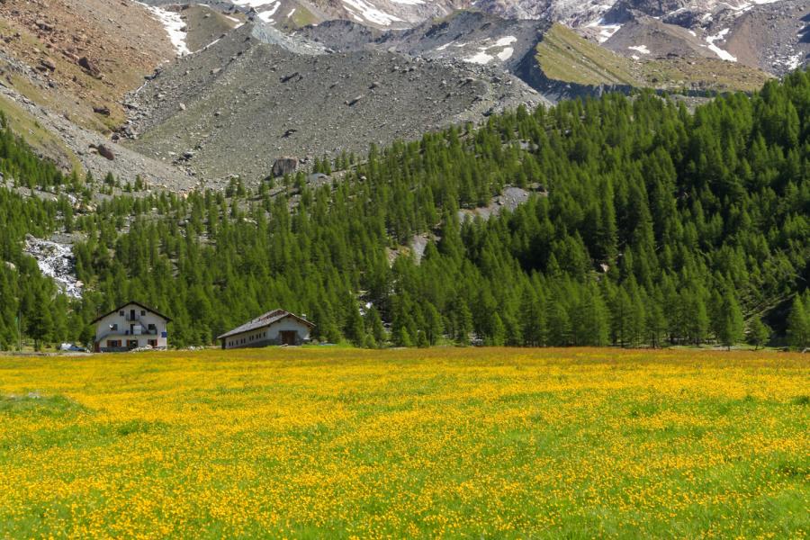 Pian di Verra I ghiacciai: preziosi indicatori del cambiamento climatico