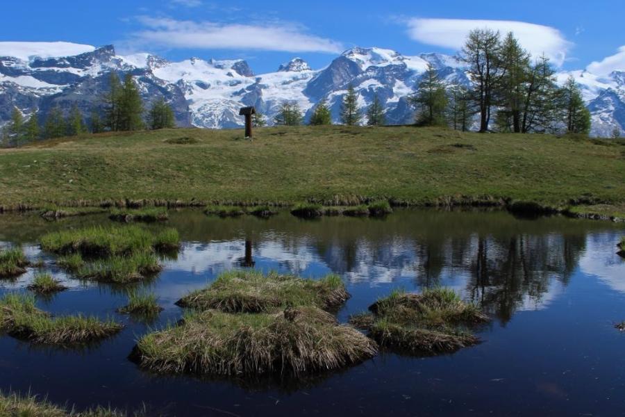 Il Monte Rosa Attualità e rilancio delle consorterie valdostane