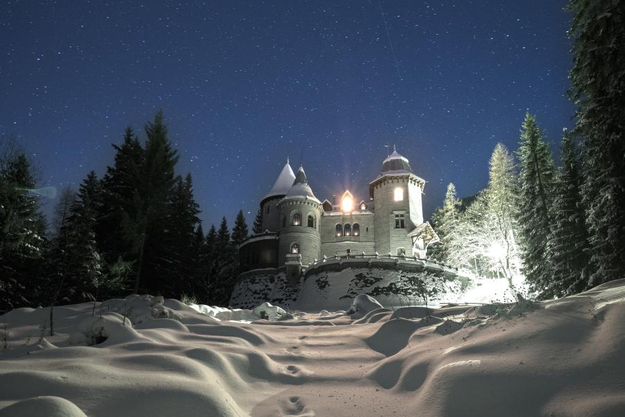Château de Savoie