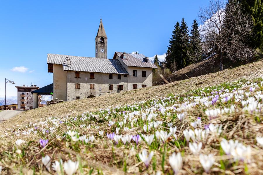 MERA IN PRIMAVERA
