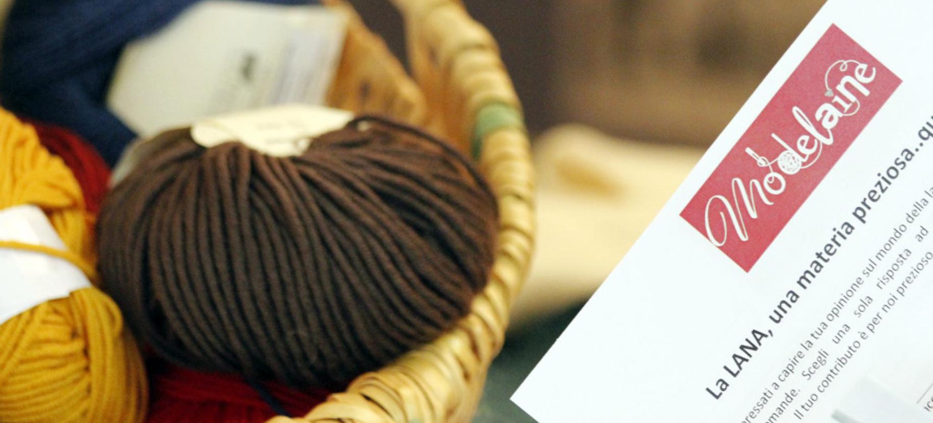 Mo'delaine - wool festival
