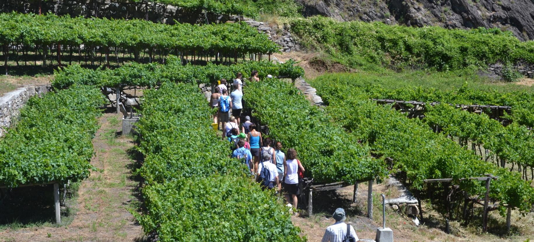 La Tòupie Gourmanda - passeggiata enogastronomica