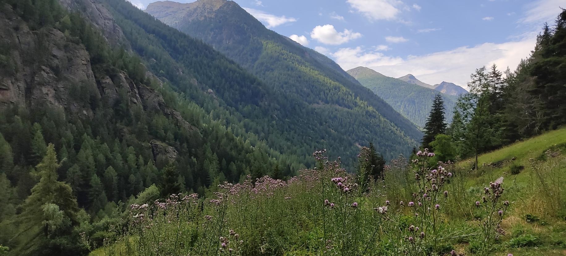 19°course à pied Tour Tornalla