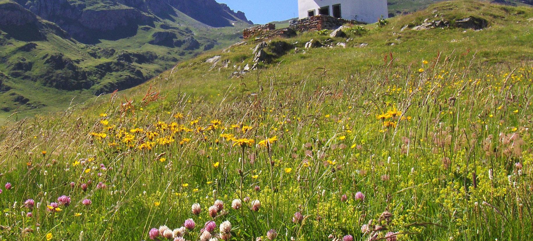 Fête de Saint Anne à l'Alpe Sitte