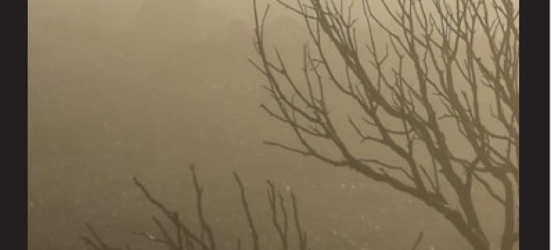 I film del Trento Film Festival 365 al Forte di Bard