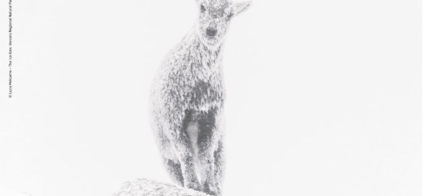 Conferenza: La fotografia naturalistica nelle aree protette