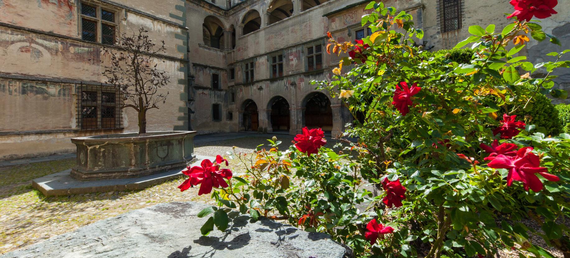 Grandparents' Day in Valle d'Aosta in places of culture