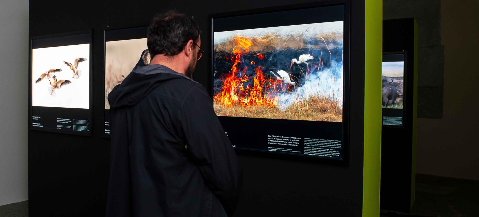 Conferenza: La fotografia naturalistica nelle aree protette