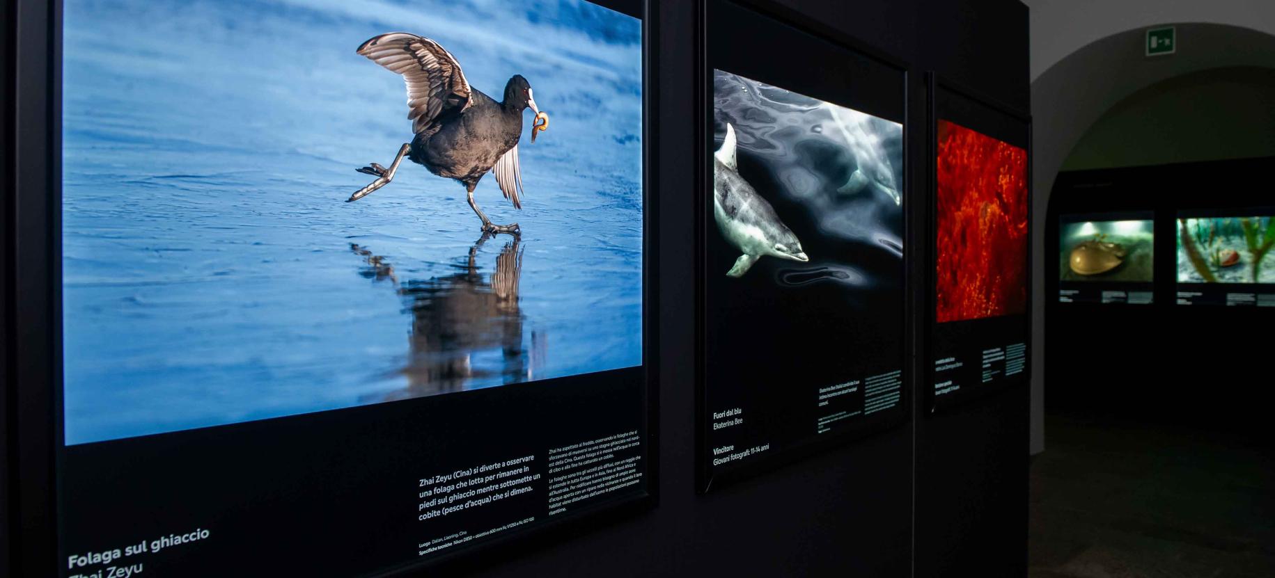 Conferenza: La fotografia naturalistica nelle aree protette