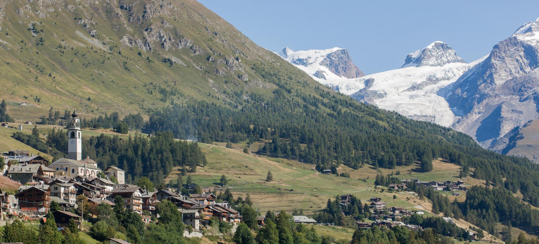 Vista Val d'Ayas - Monterosa  Edible wild herbs