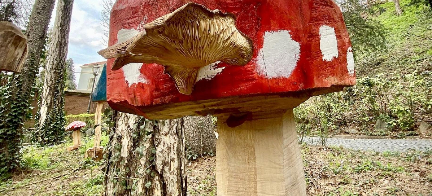 The Mushroom Fortress