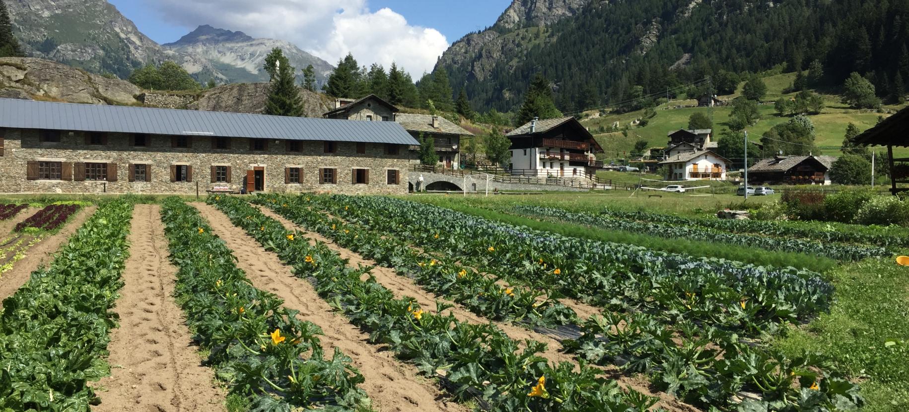 Agricola Walser Garten