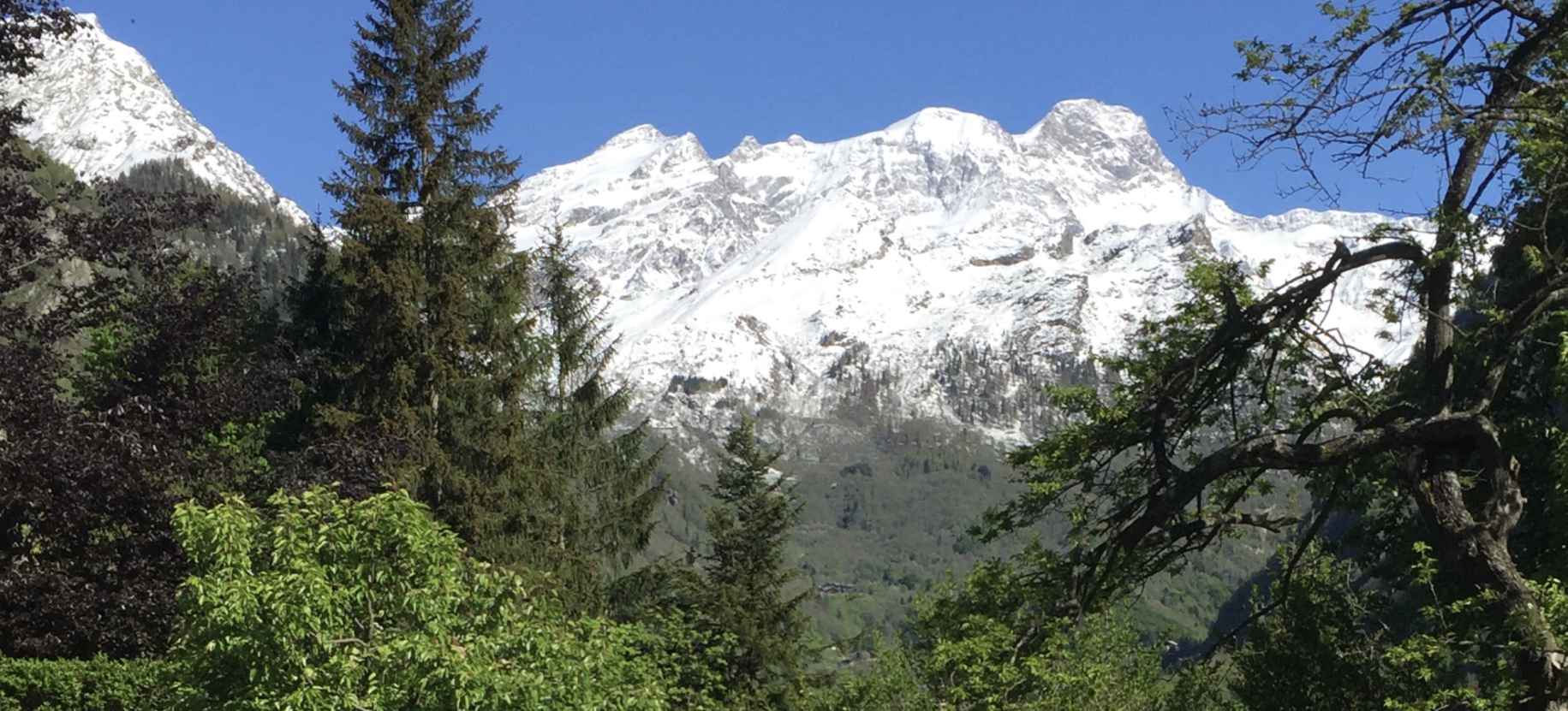Monte Rosa seen from our garden
