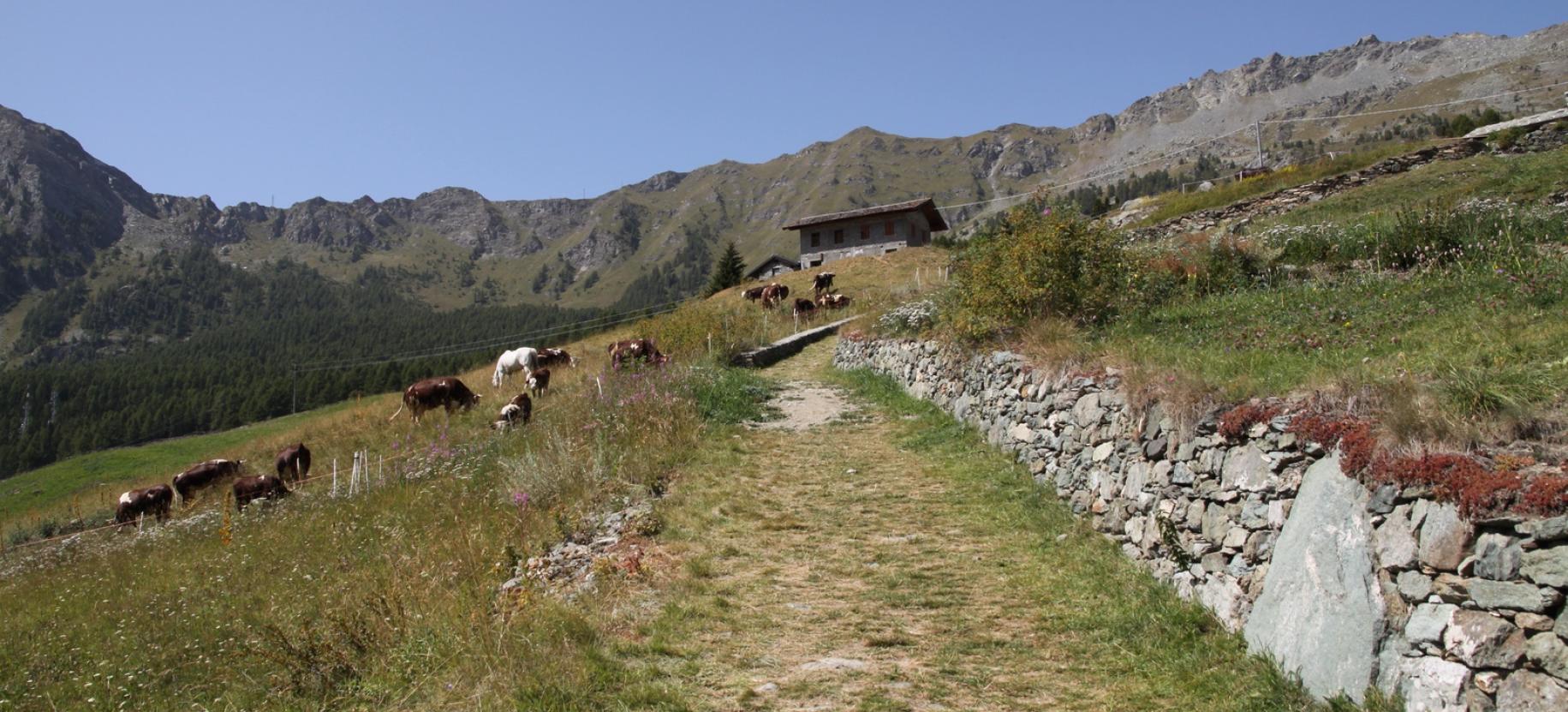 Arrivo a Goil.