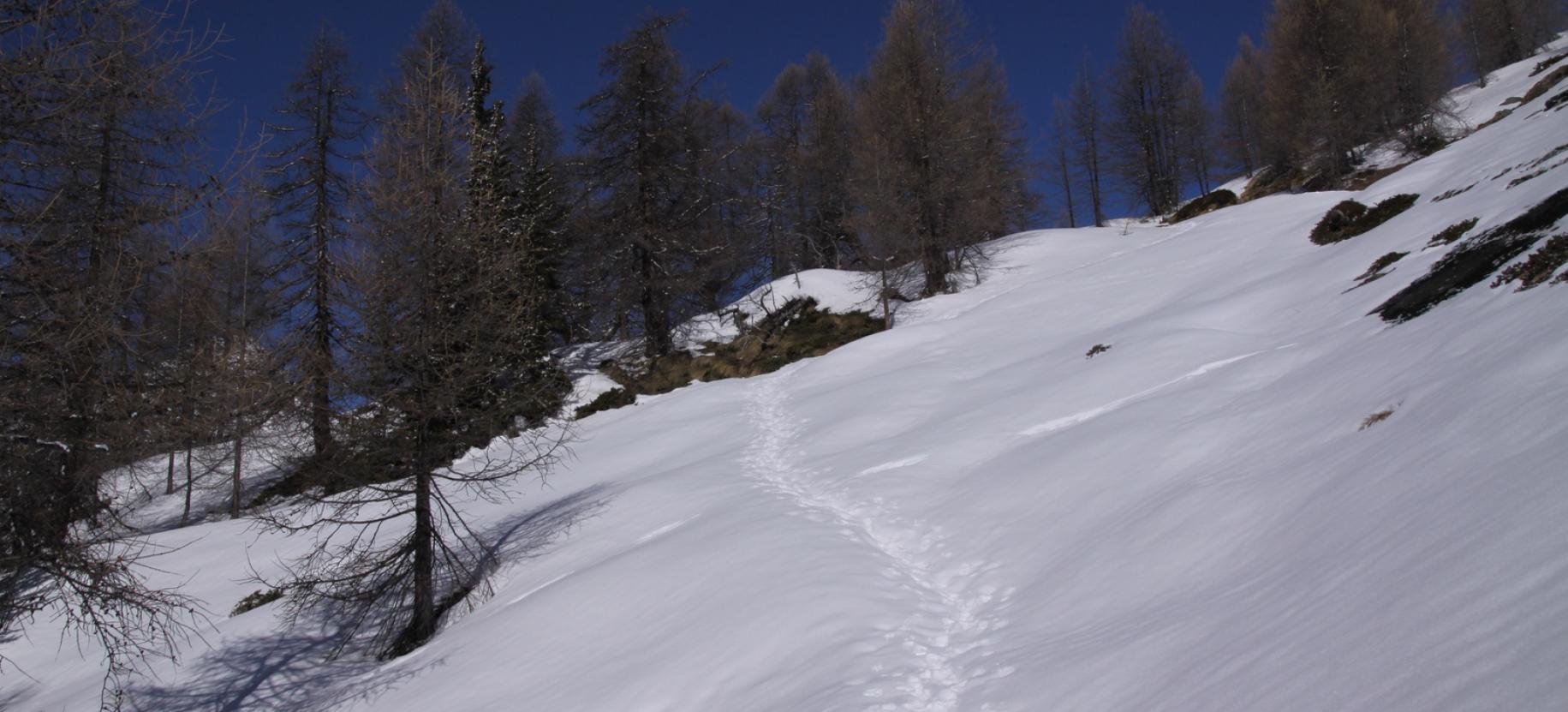 Inizio della salita sul pendio sud del Palon di Resy