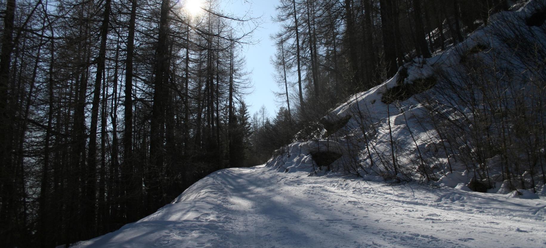 La strada che sale da St.-Jacques verso l’imbocco del Vallone di Nana.