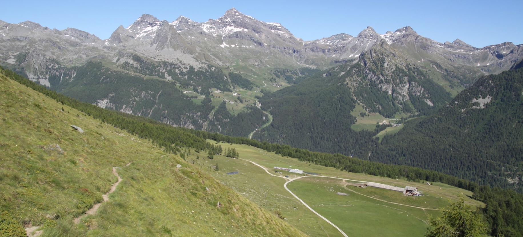 Discesa verso l’Alpe Vascoccia, con il Testa Grigia sullo sfondo.