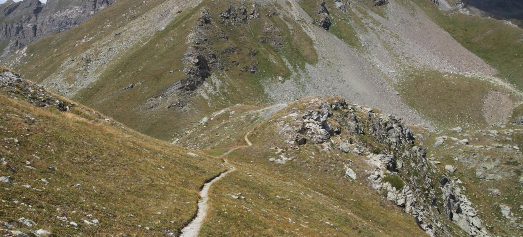 Ritorno al Colle Vascoccia.