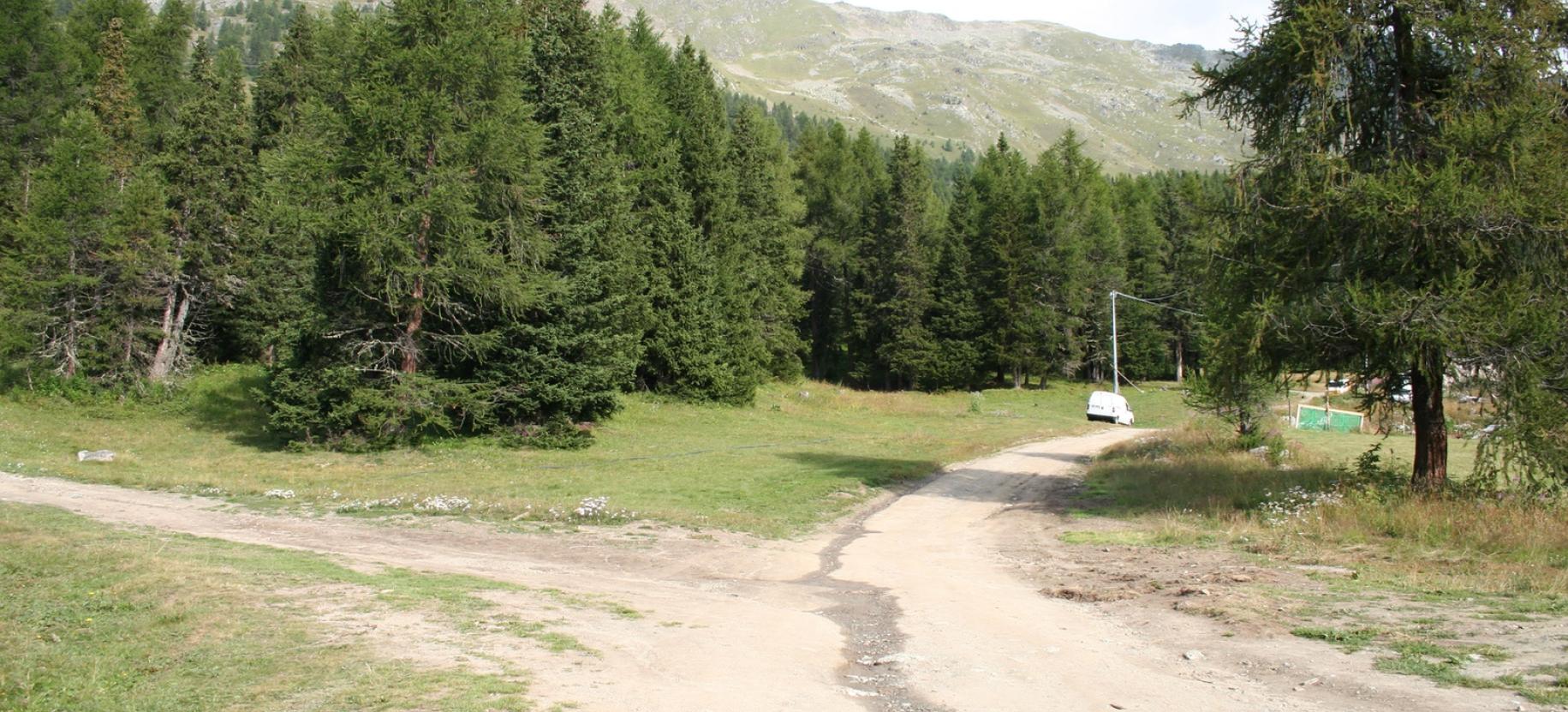 Al primo bivio si svolta a destra.