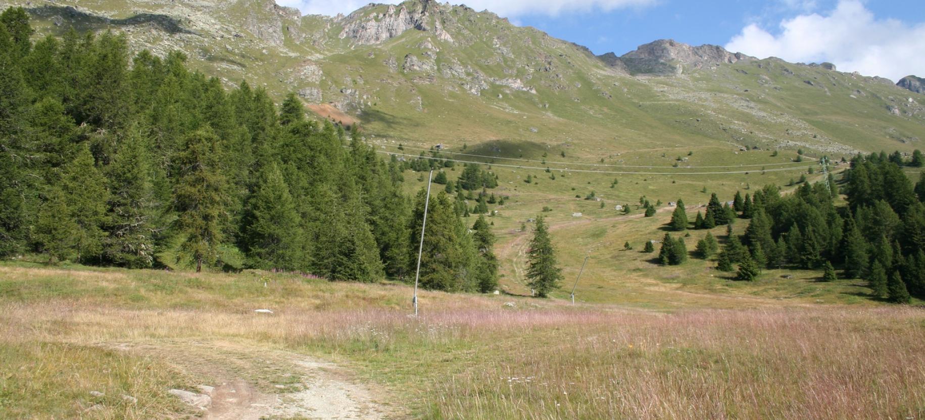 All’uscita dal bosco si prosegue lungo la pista a destra.