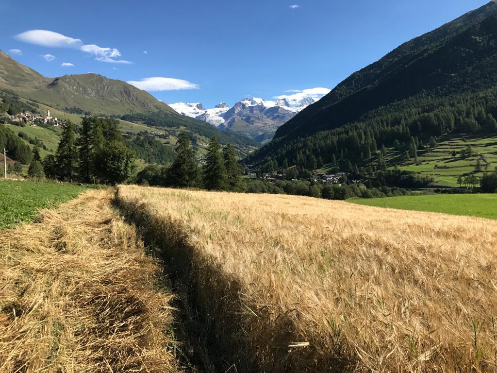 Ritorno al futuro in Val d’Ayas!