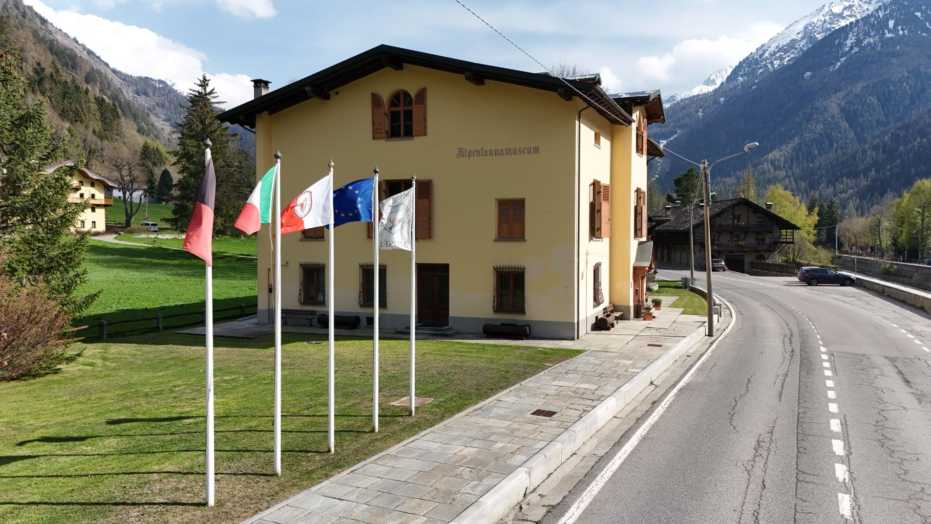 Alpenfaunamuseum 