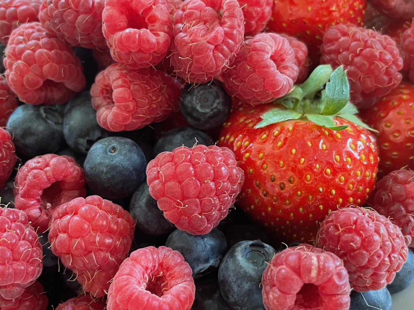 Festa dei piccoli frutti, agricoltura e prodotti tipici