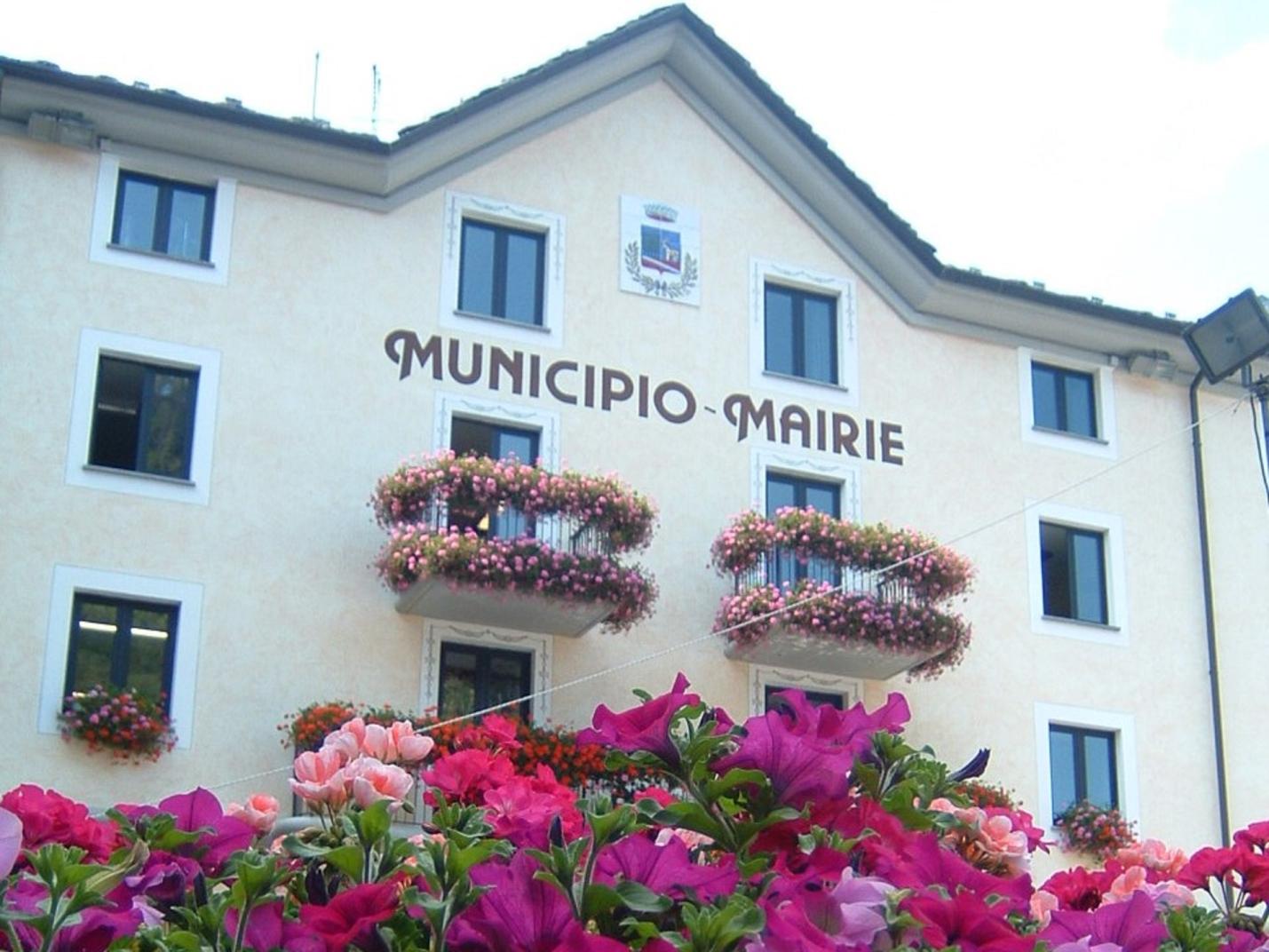 Piazza  Da Emy, piante e fiori di montagna ai piedi del Gran Paradiso