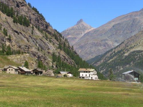 Fiha di Civet - Sagra del camoscio in "civet"