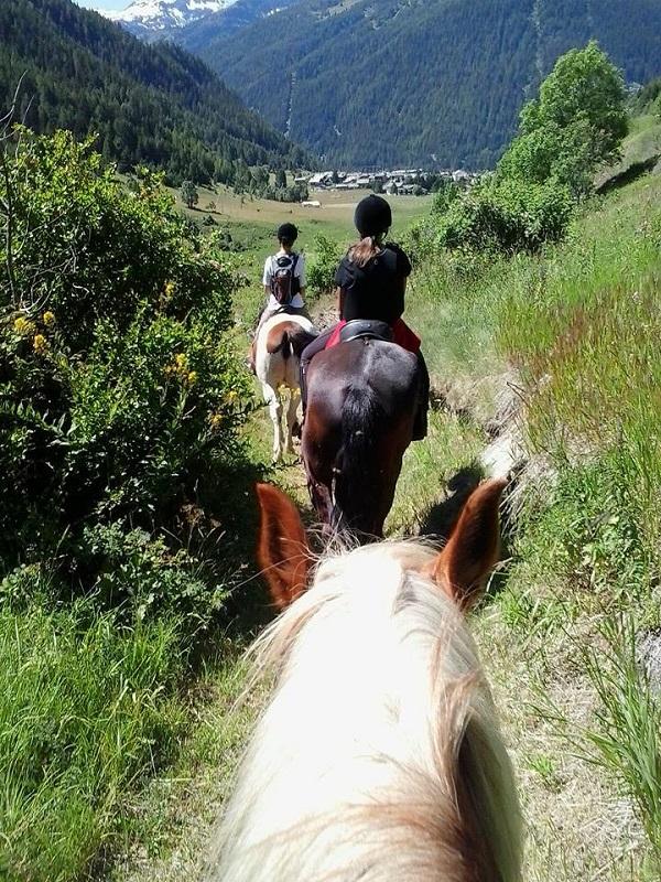 An afternoon at the riding school