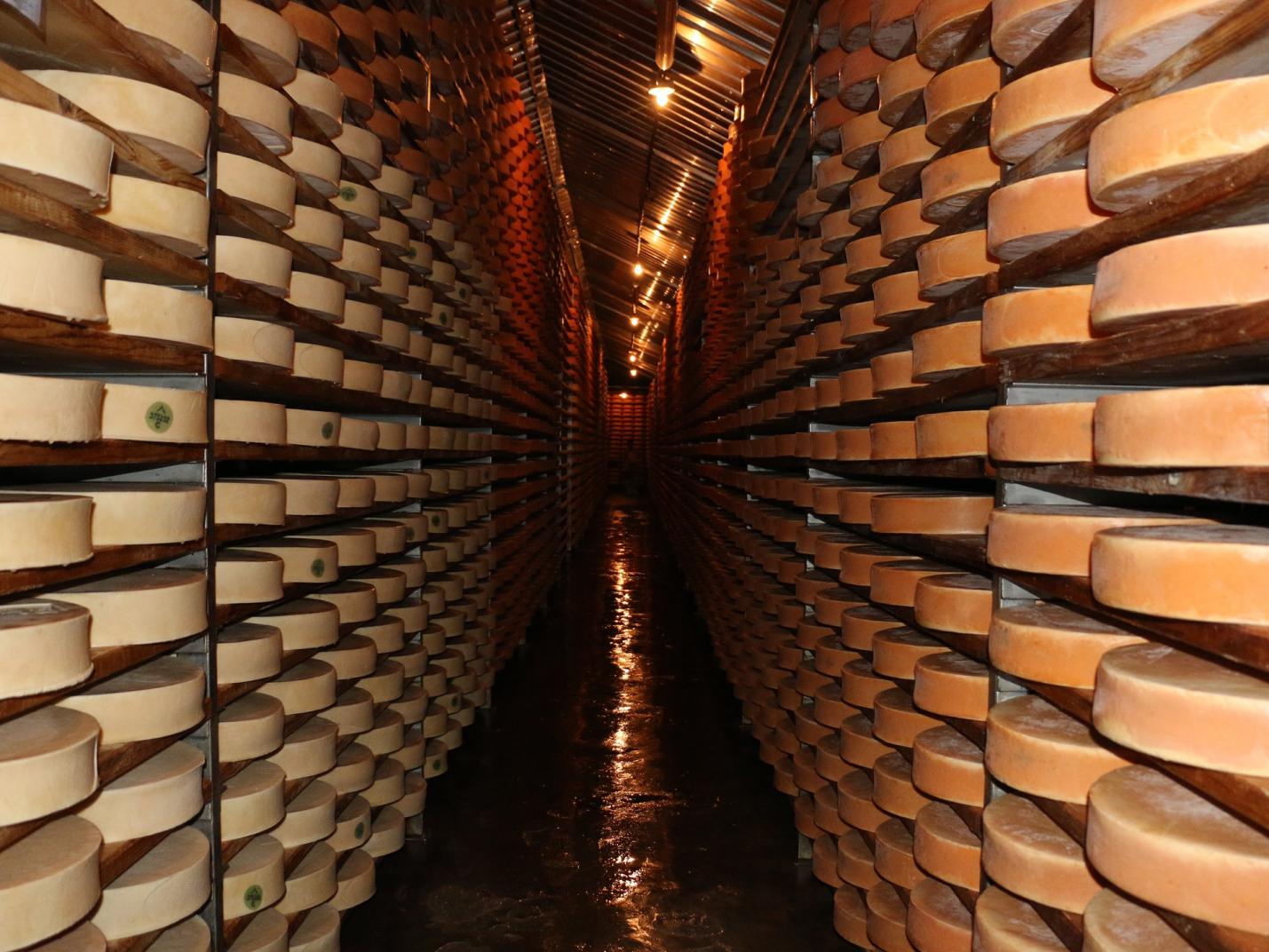 Magazzino Fontina  Visita al magazzino della Fontina e degustazione
