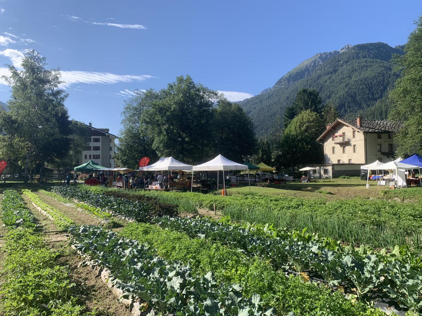 Samstag Märt - Marché des petits producteurs de la Vallée du Lys