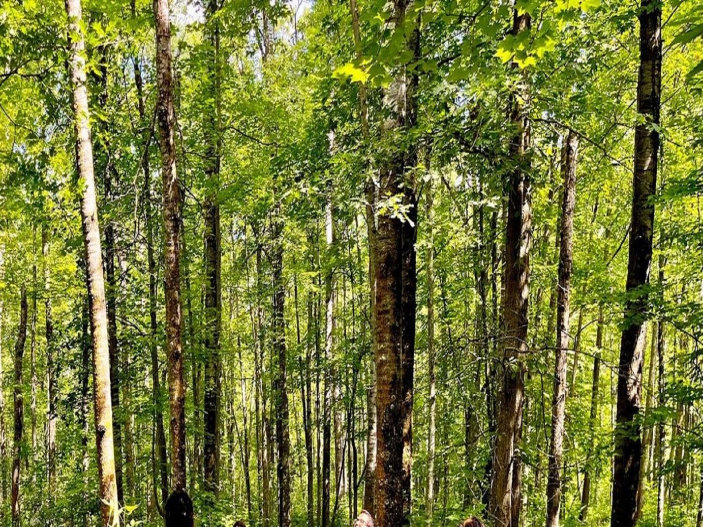 Camminando nell'incanto - Passeggiata Cosplay tra fiabe, miti e leggende
