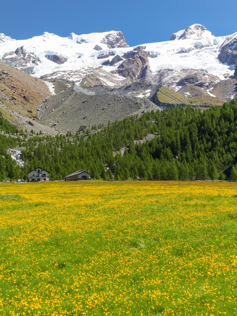 I ghiacciai: preziosi indicatori del cambiamento climatico