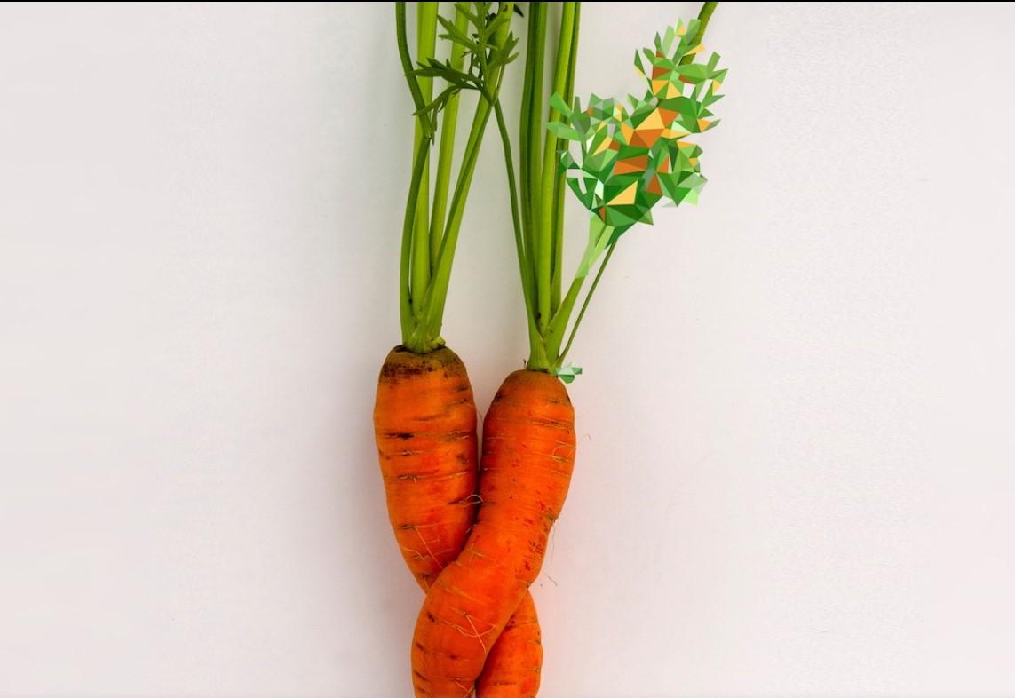 Les jardins sauveront le monde : les céréales parmi les sommets
