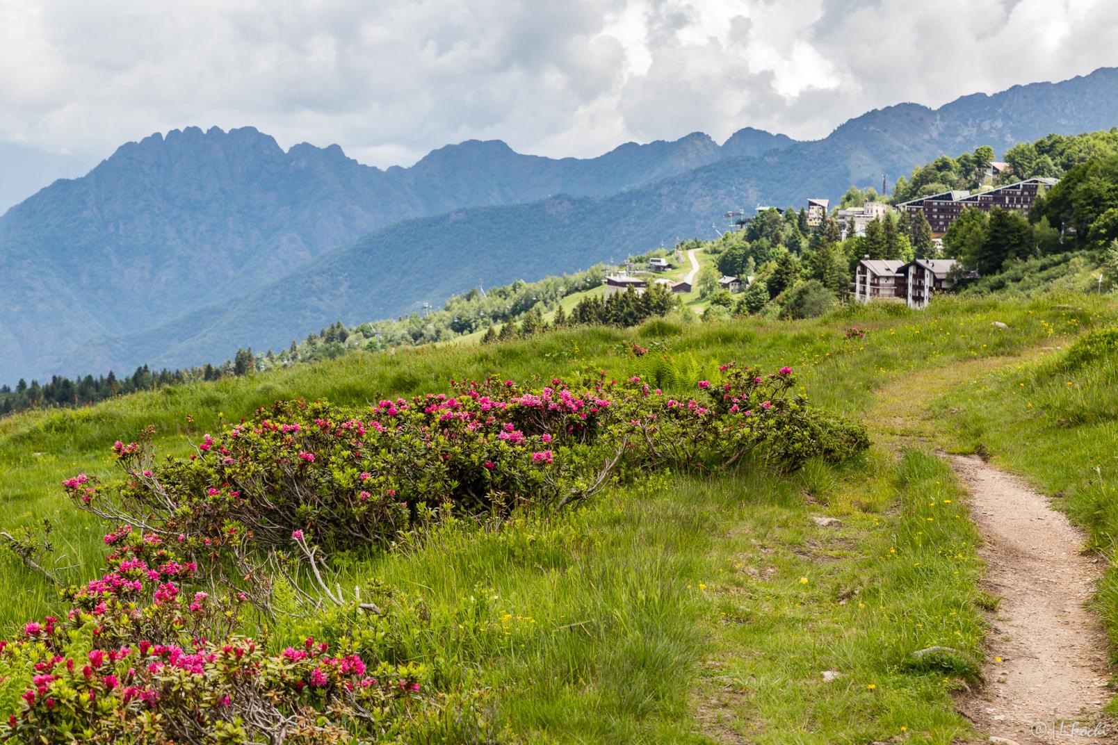 Alpe di Mera