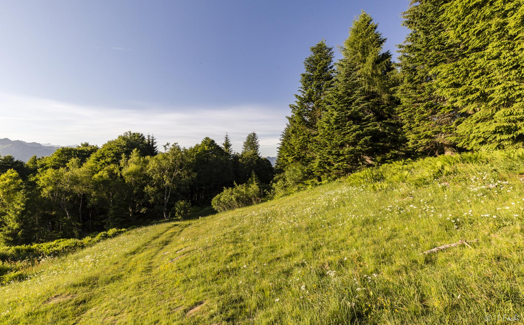 alpe di mera bocchetta della Boscarola