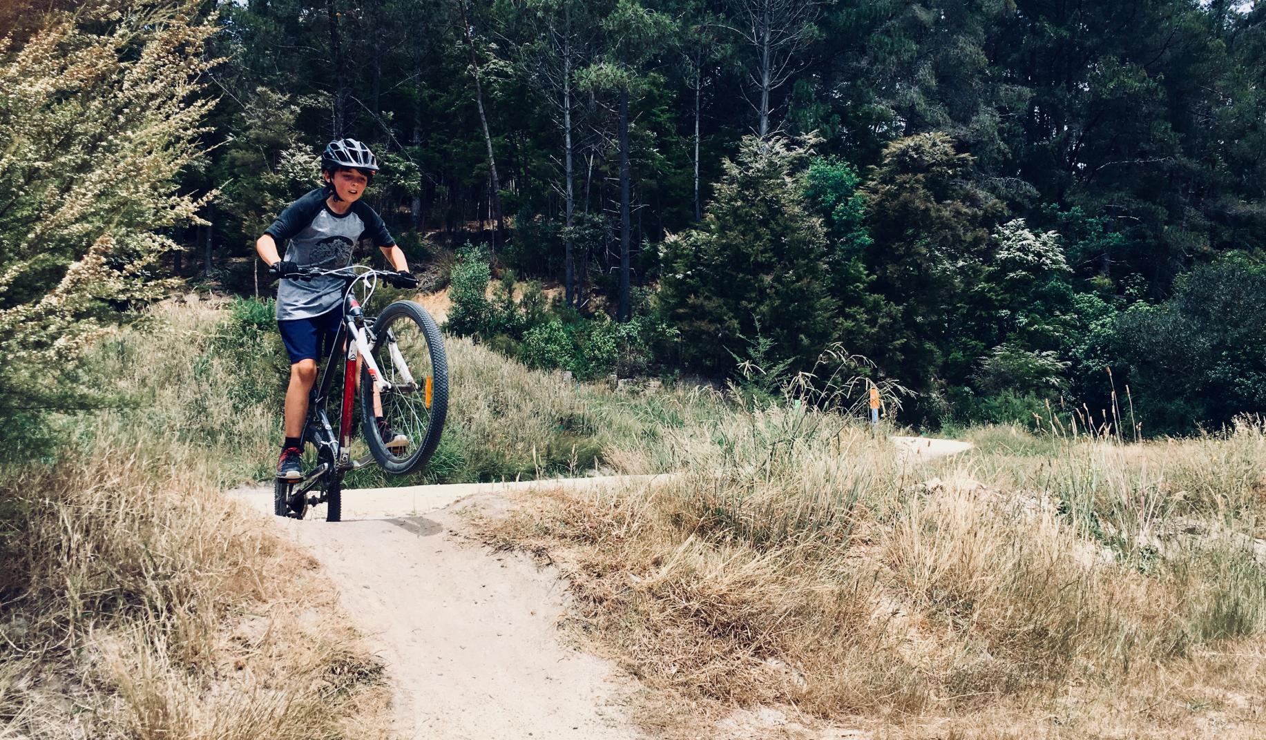 mountain bike