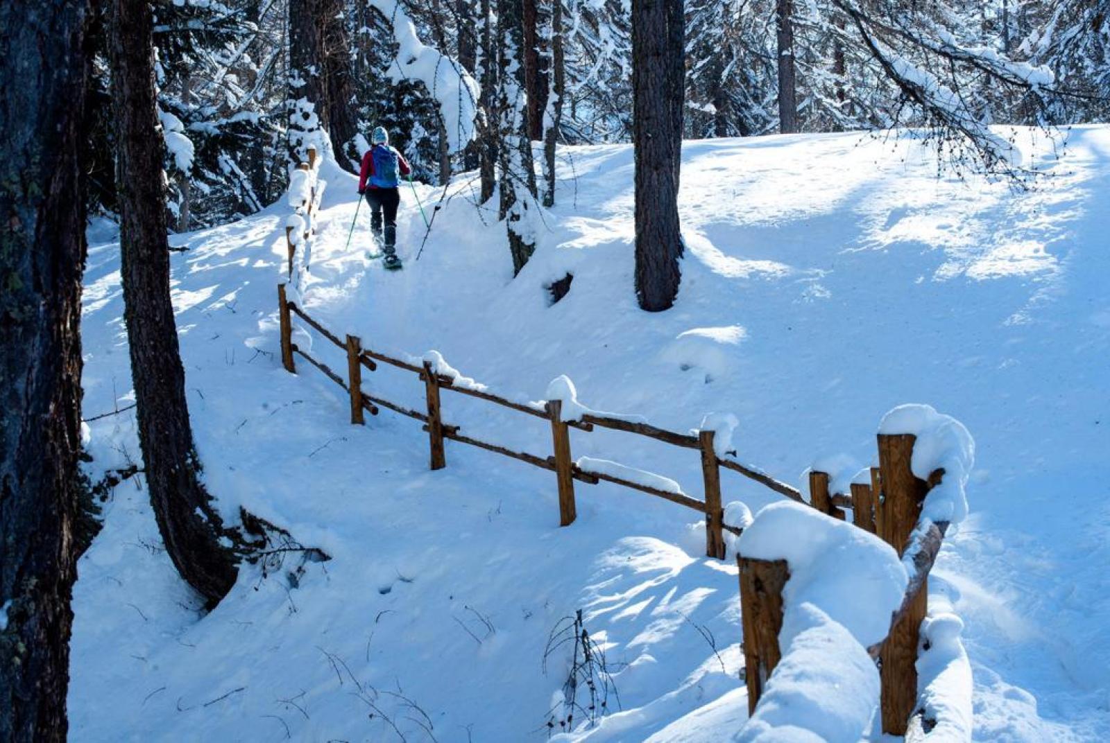 Scopri i sentieri invernali con le ciaspole a Brusson