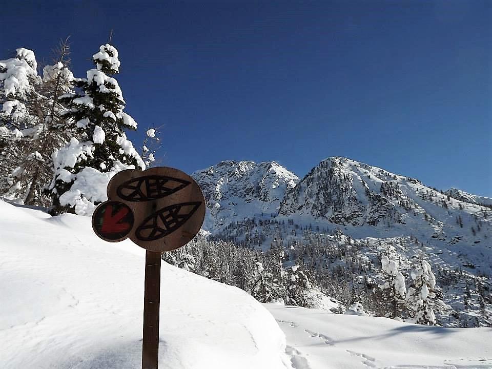 SNOWSHOEING IN THE WILD AT COUMARIAL – FONTAINEMORE