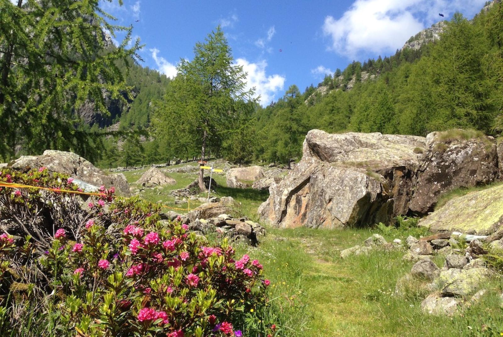 Valle dell ‘Alleigne –  (Site of Community Importance) and Nature 2000