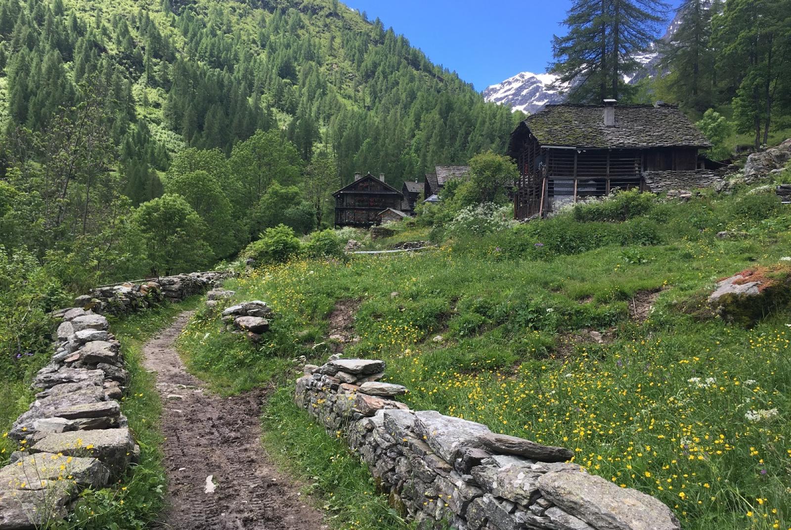 Sunny Val Vogna to Lake La Peccia