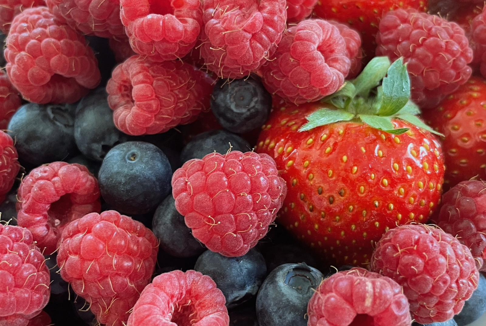 Fête des Petits fruits de La Magdeleine